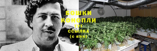 бошки Абаза