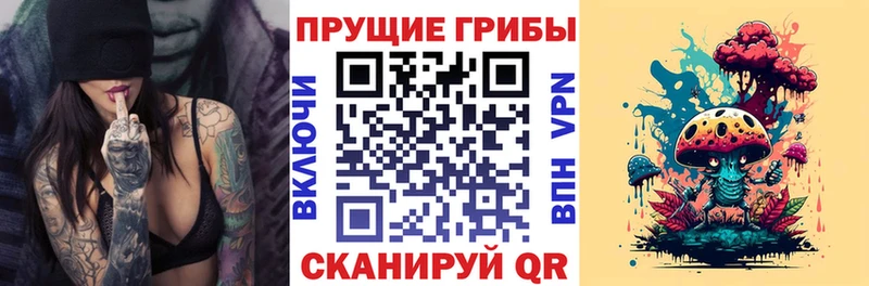 darknet наркотические препараты  Алейск  Псилоцибиновые грибы мухоморы 