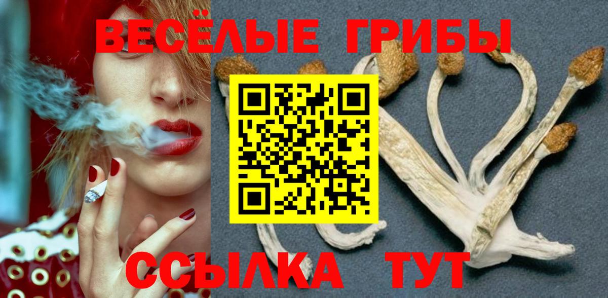 Галлюциногенные грибы прущие грибы  Вход с VPN  Галлюциногенные грибы Magic Shrooms  Алейск 