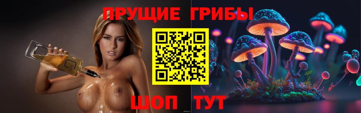 Псилоцибиновые грибы GOLDEN TEACHER Алейск